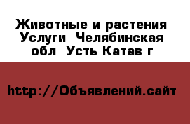 Животные и растения Услуги. Челябинская обл.,Усть-Катав г.